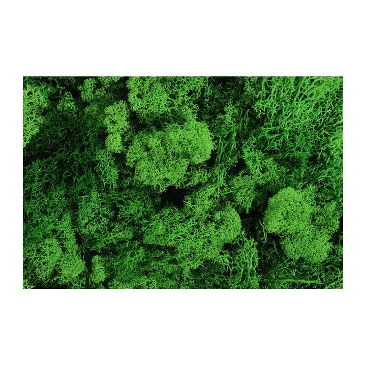 Декоративна мъхеста плоча за интериор, 125гр, естествено зелена