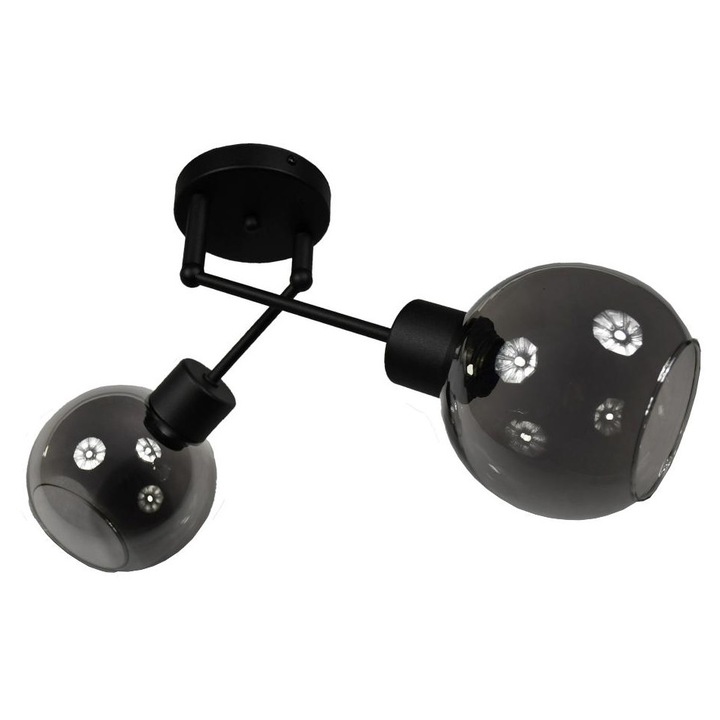 Lampa de tavan ORION 2, 2 puncte de lumina, sticla fumurie, negru mat, 50x33cm