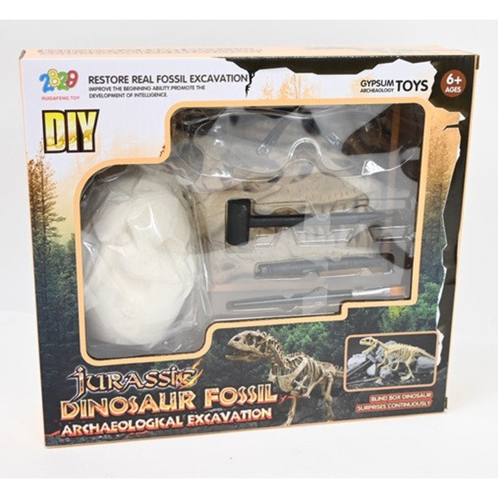 Zestaw de jocuri educative Skamielina 2000053, multicolor