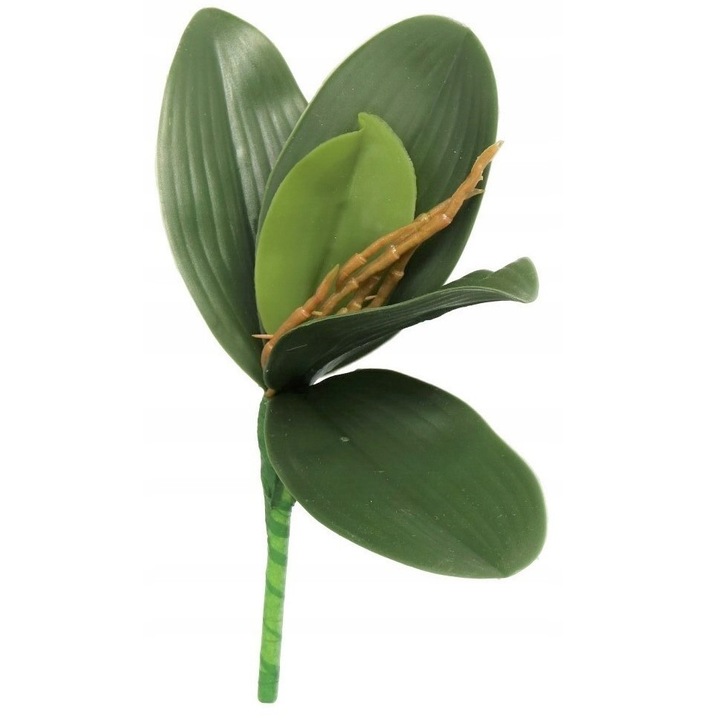 Lastar de orhidee, Luka, frunze din silicon, verde