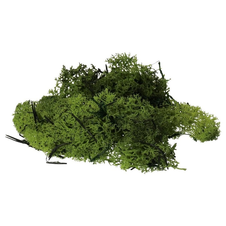 Természetes mohadísz, DEKO, 35g, elegáns, stílusos