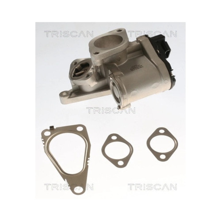 EGR клапан 881325201 Renault Laguna 2/Megane 2/Scénic 2