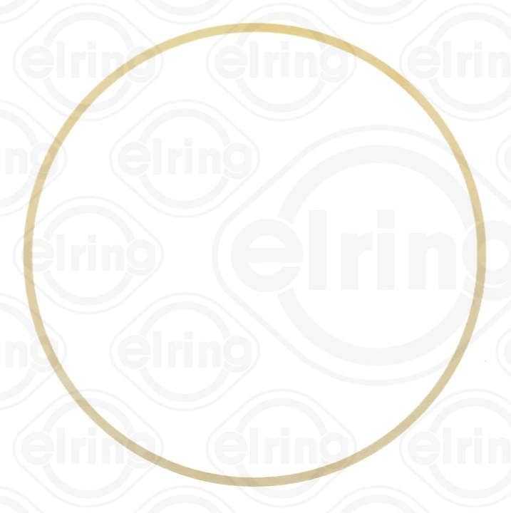 O-Ring, Camasa Cilindru B28.950 Daewoo Novus/Prima Iveco 10-Way/S-Way/Stralis 2