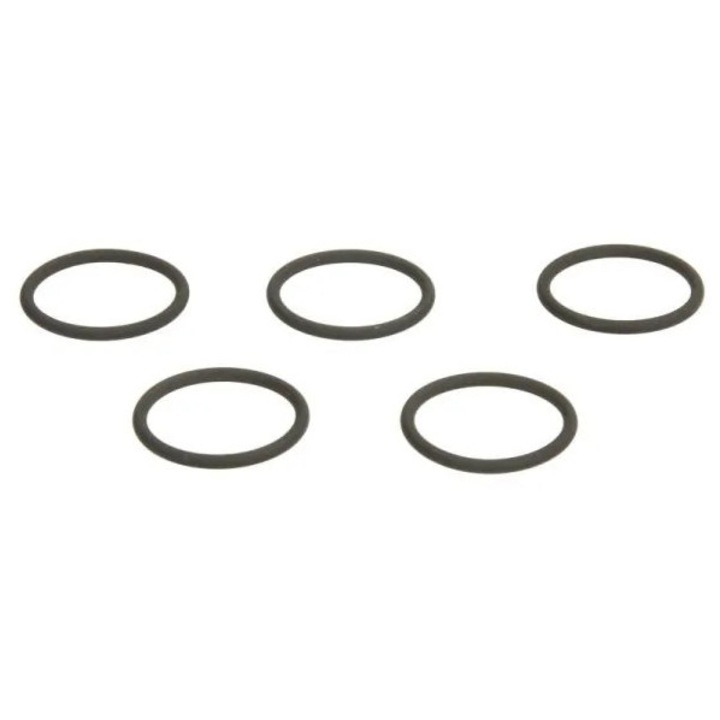 Tömítőgyűrű, befecskendező Ent250433 Seat Ibiza 4 Skoda Fabia 2 Vw Polo 5