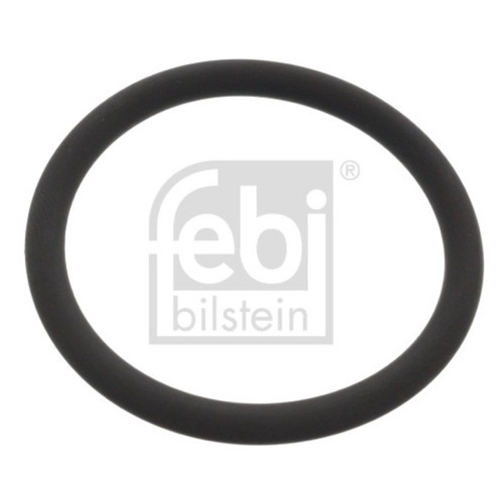 Tömítőgyűrű, Vízpumpa 48765 Daf Cf 75