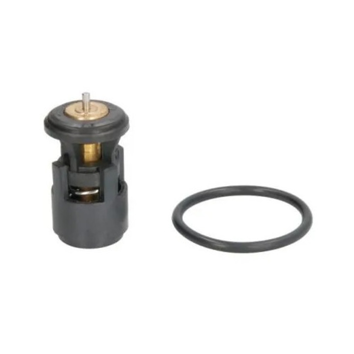 Termostat, Lichid Racire D2A005Tt Audi A2 Seat Altea/Arosa/Cordoba/Cordoba Vario/Ibiza 2/Ibiza 3/Ibiza 4/Inca/Leon Vw Fox