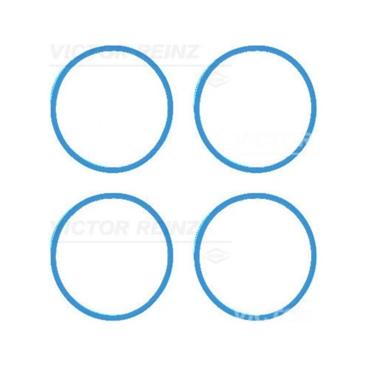 Set Garnituri, Galerie Admisie 11-42216-01 Renault Megane/Megane 3/Scénic 3