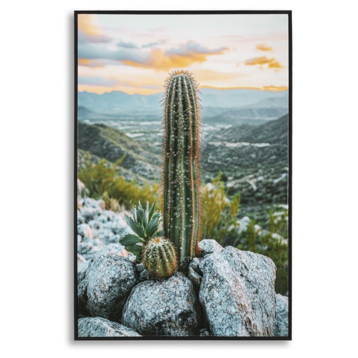 Tablou cu cactus, Mauro Ferretti, 60x4x90cm, lacuit, cu rama