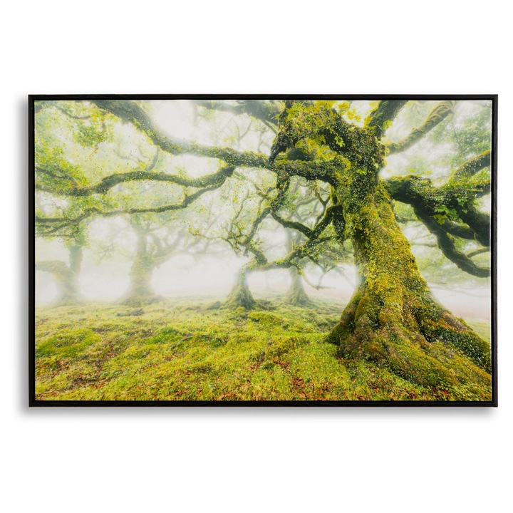 Tablou pe panza cu rama, Mauro Ferretti, peisaj forestier, 90x60cm, verde