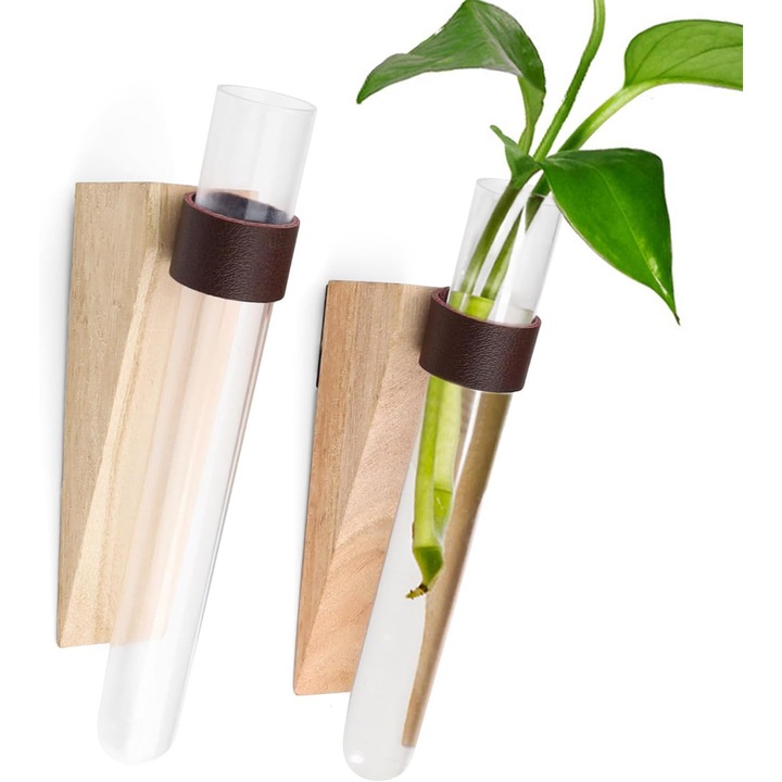 Vaza de perete transparenta, suport plante hidroponice, lemn, 1 tub
