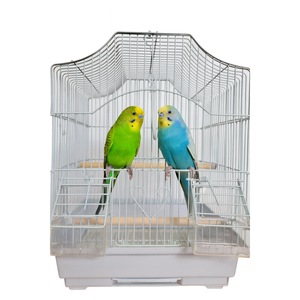 Custi, cotete, tarcuri si colivii