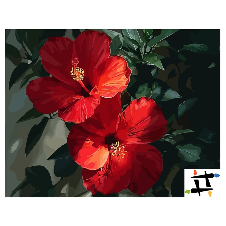 Комплект картина по номера Червен хибискус 6562, памучно платно, 40x50 см, включва 3 четки и акрилна боя