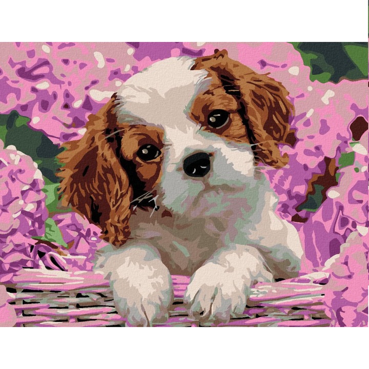 Set pictura pe numere ZUTY®, pre-intins, cu cadru din lemn, 40 x50 cm, model „Catelus si hortensii”, cu 3 pensule si vopsea acrilica, nivel easy pentru incepatori