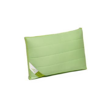 Perna Green Future NATURE Green, 45 x 65 cm, umplutura bambus si bilute fibra siliconica Perna Green Future NATURE Green, 45 x 65 cm, umplutura bambus si bilute fibra siliconica