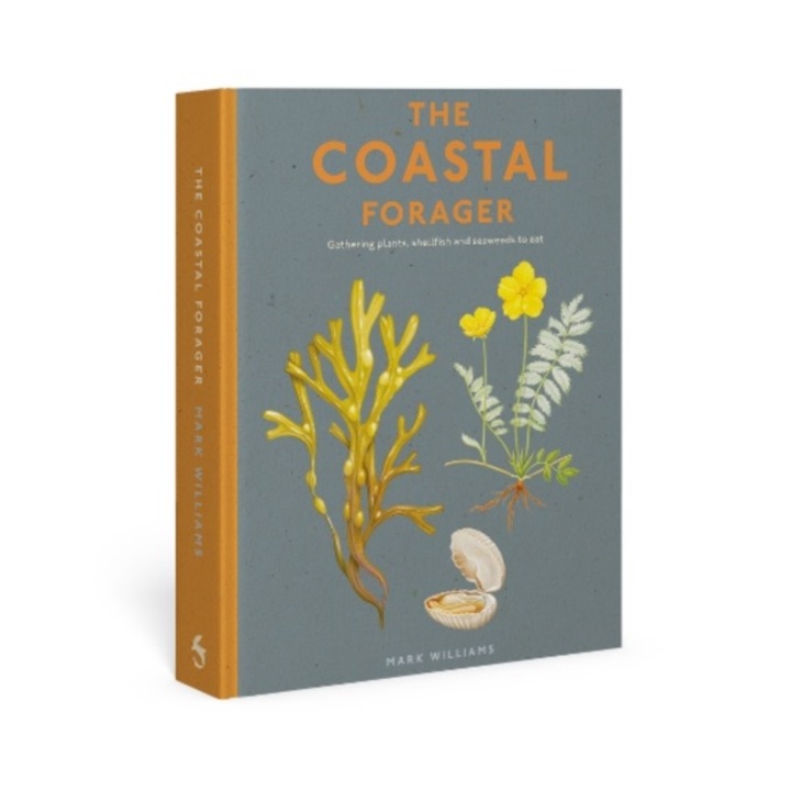 Coastal Forager - Mark Williams - Mark L. Williams