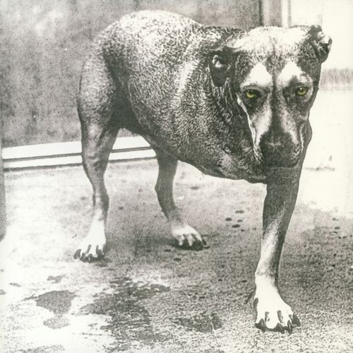 Alice in Chains - Alice In Chains (2LP)