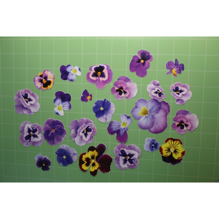 Set 24 panselute autocolante, Creative Place, pentru scrapbook