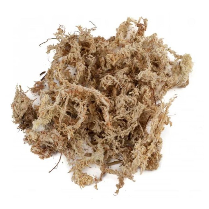 Muschi de Sphagnum uscat, 3, 5 L, natural, pentru teraristica