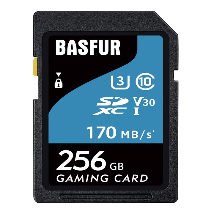 Card de memorie Basfur SD 256 GB, viteza de transfer 170 MB/s, clasa U3, 4x3x1cm