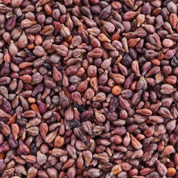 Seminte de struguri, 1 kg, naturale, ambalaj zip lock