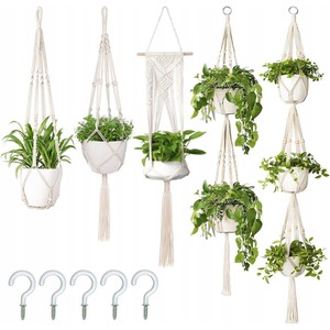 Ghivece si suporturi