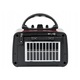 Radio portabil cu Bluetooth si panou solar, 17x11x9cm, 18650