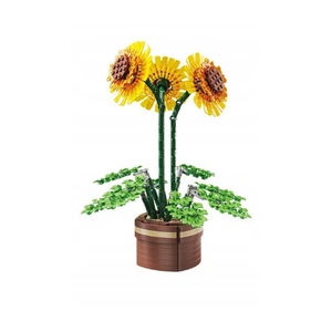 Seturi de constructie