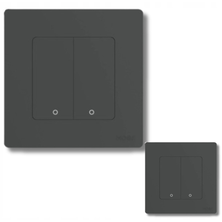 Intrerupator ZigBee, control vocal