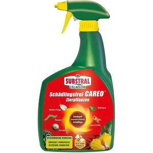 Pamant flori, ingrasaminte si pesticide