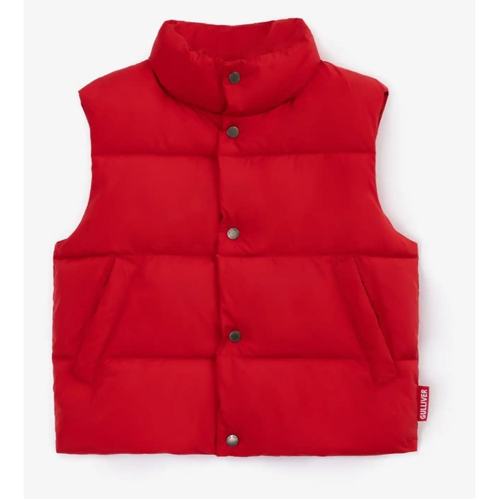 Vesta stransa, captusita, rosie pentru un baiat de la Gulliver