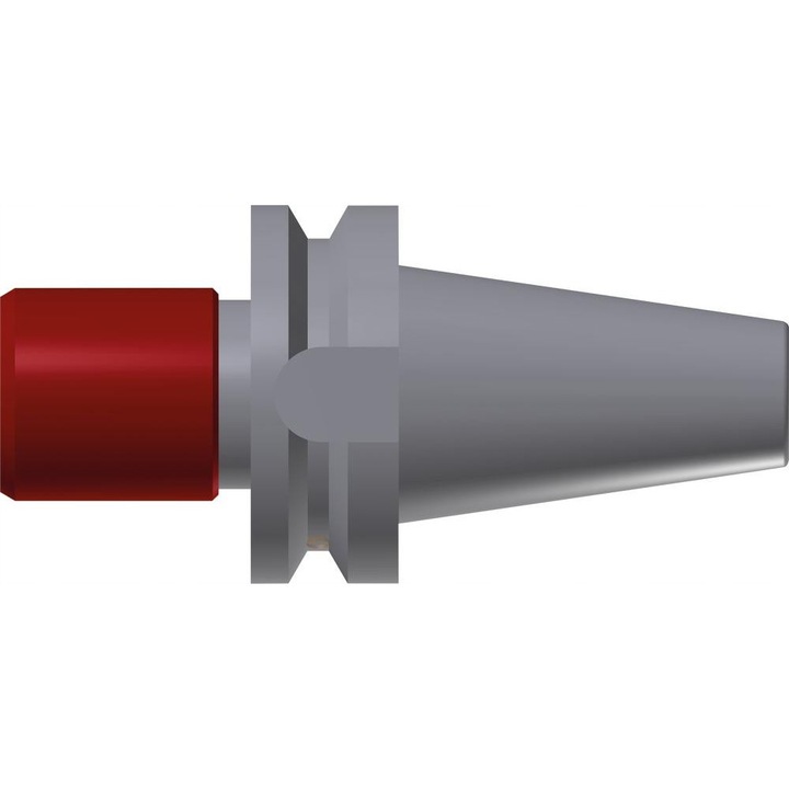 Mandrina rapida pentru filetare M6-20 BT40, compensare lungime, 55mm x 100mm