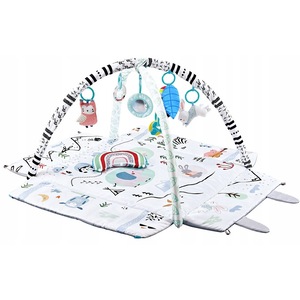 Centre de activitati