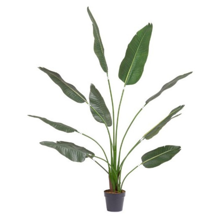 Mesterséges Sterlizia növény cserépben, 180 cm magas