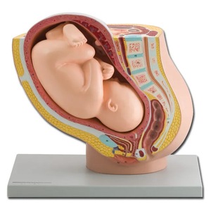 Aparatura medicala si accesorii uz spitalicesc