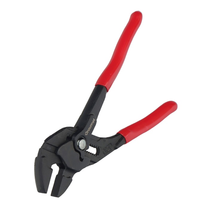 Cleste papagal drept 180mm CLIK - Draumet