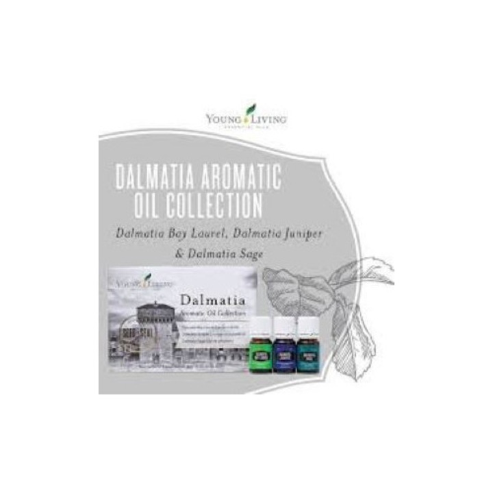 Set de uleiuri esențiale Dalmatia, Young Living, 5ml fiecare, arome proaspete și erbacee