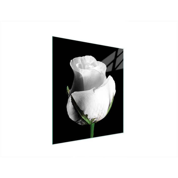 Konyhai hátfal, TMK ArtDeko, üveg, 45x52 cm, főzőlap védelem, rózsaszín