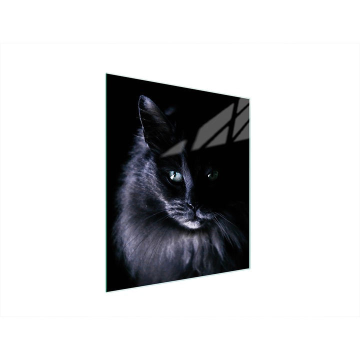 Konyhai hátfal, TMK ArtDeko, üveg, 45x52cm, főzőlapvédő, modern design