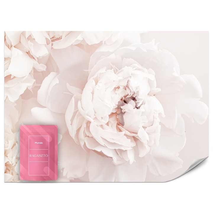 Fotótapéta Muralo Pasztell Virág 100x70 Természet Nappali Dekoráció