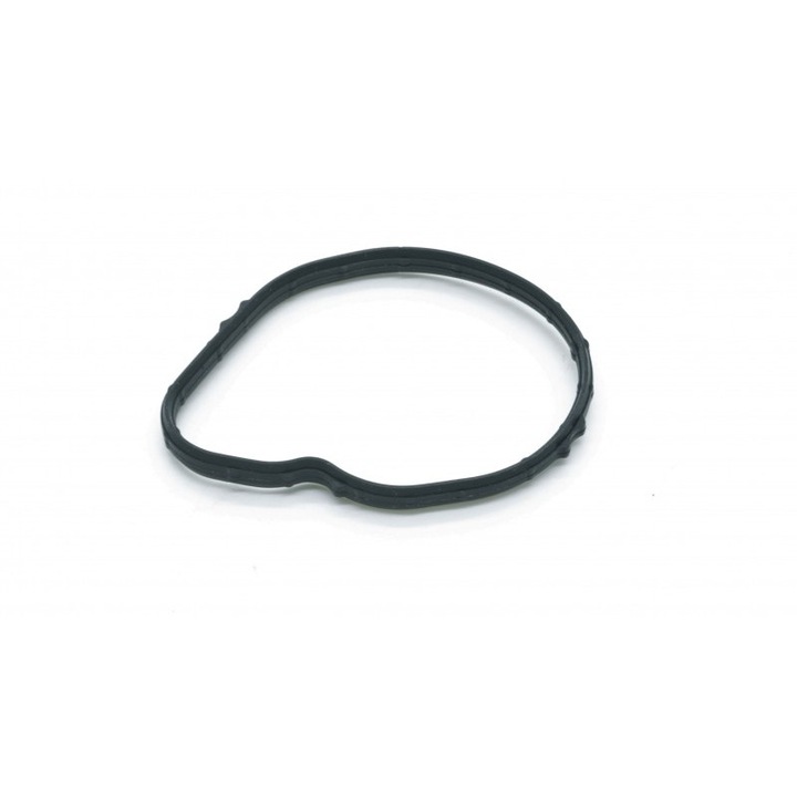 Garnitură termostat DR MOTOR, 1472863
