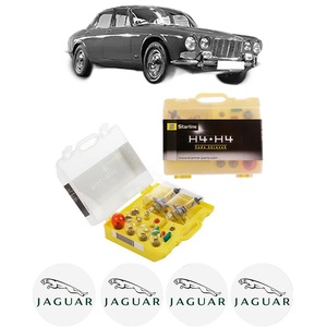 Becuri si sigurante auto