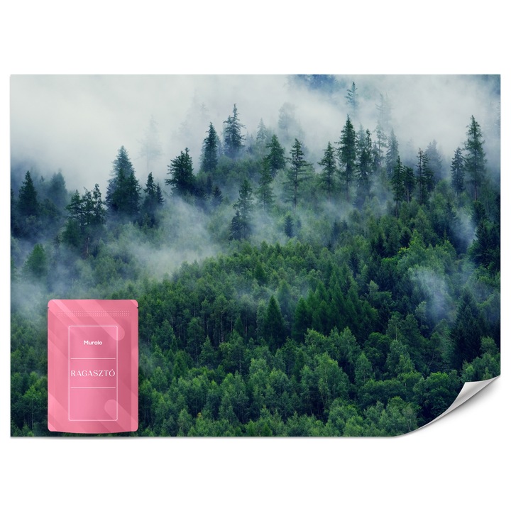 Fotótapéta Muralo Hegyek Erdő Köd 450x315 Tájkép Modern Nappali Dekoráció