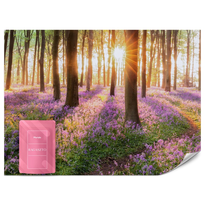 Fotótapéta Muralo Napfelkelte a Színes 450x315 Erdőben Modern Hálószoba Dekoráció