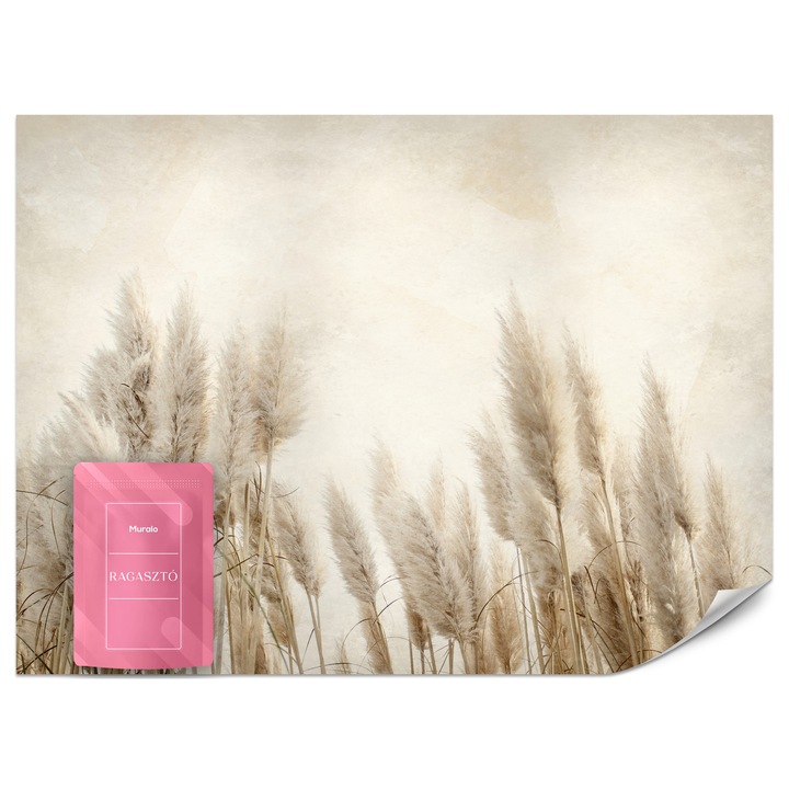 Fotótapéta Muralo Kalász Boho150x105 Természet Hálószobába