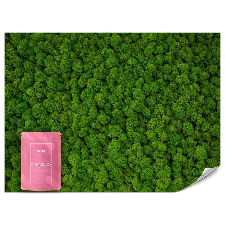 Fotótapéta Muralo Dekoratív 200x140 Moha Modern Nappaliba