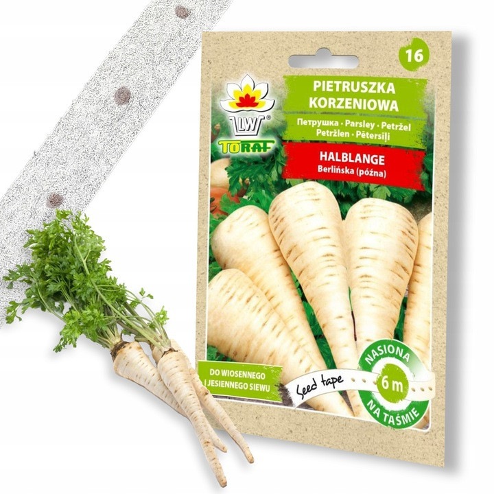 Seminte de patrunjel Halblange, 6m, radacina sanatoasa, 22-24cm, Top Gift