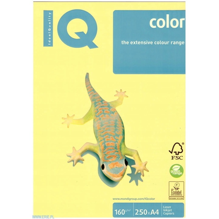 Hartie copiator A4, EUROPAPIER, 160g, kanar, set 250 foi