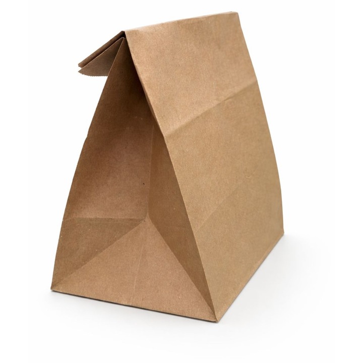 Set 50 pungi din hartie 30x26x17cm