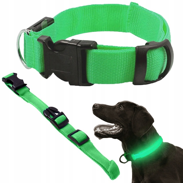 Zgarda LED pentru câini și pisici, Verk Group, reglabil 36-59 cm, iluminare în trei moduri, verde