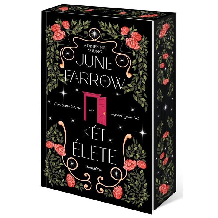 Adrienne Young; June Farrow két élete - Éldekorált kiadás